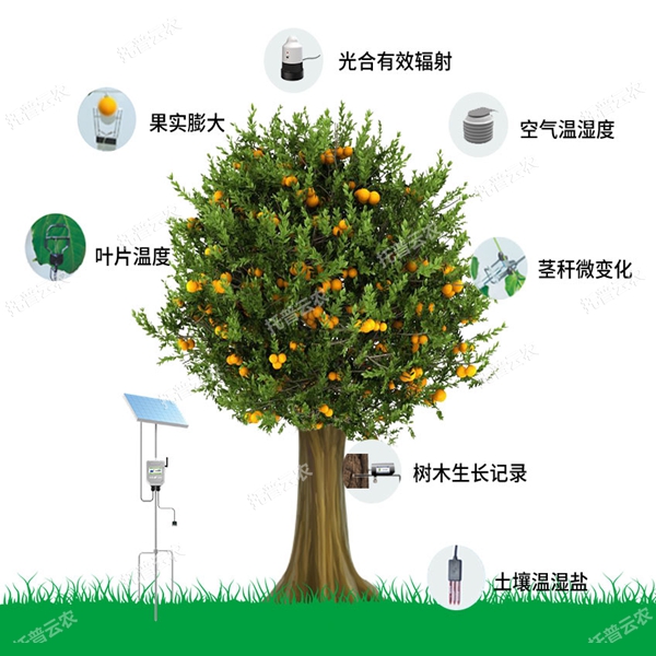 植物生理生態(tài)監(jiān)測系統(tǒng)