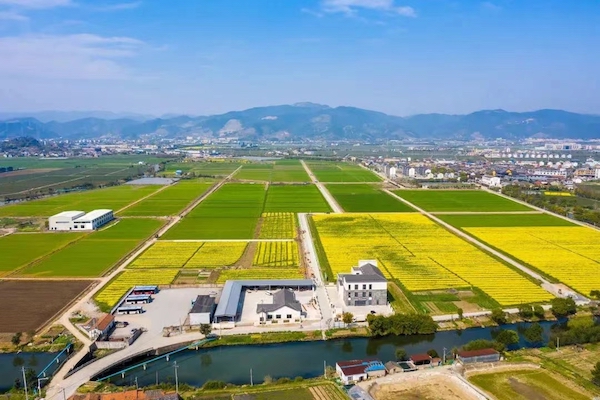 高標(biāo)準(zhǔn)農(nóng)田典型案例集錦丨“豐景”，在希望的田野